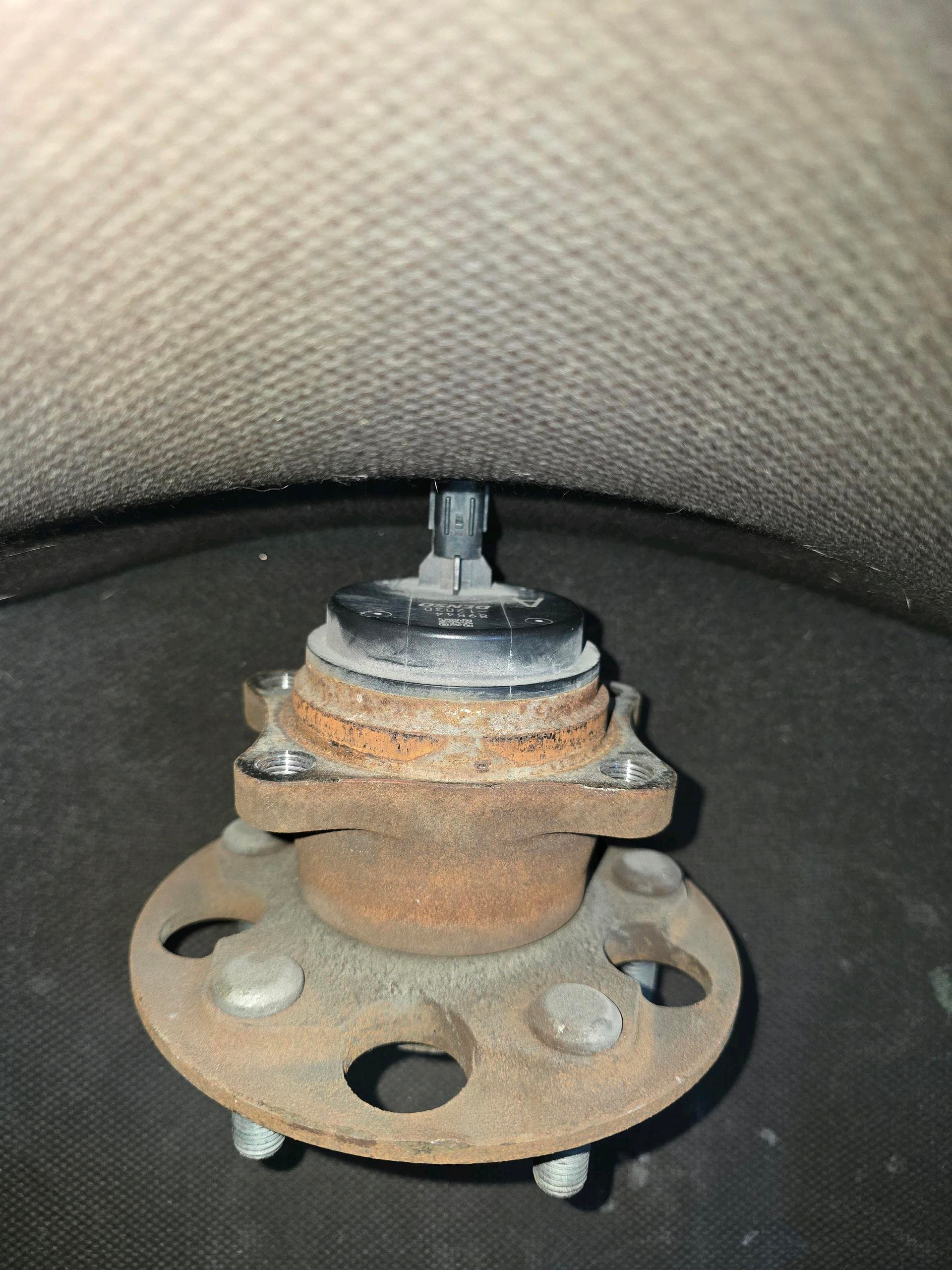 Rear Bearing