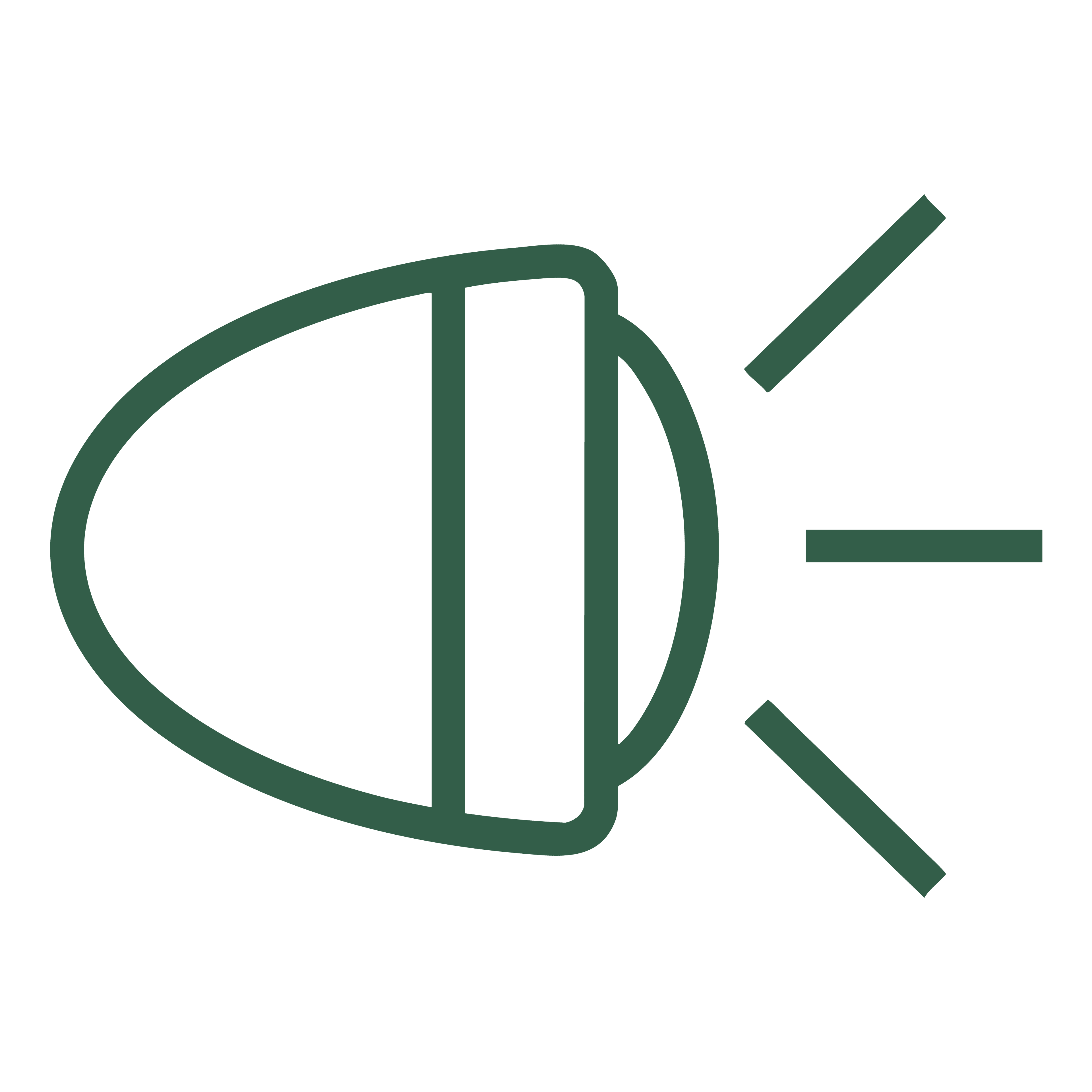 Lighting Auto Parts